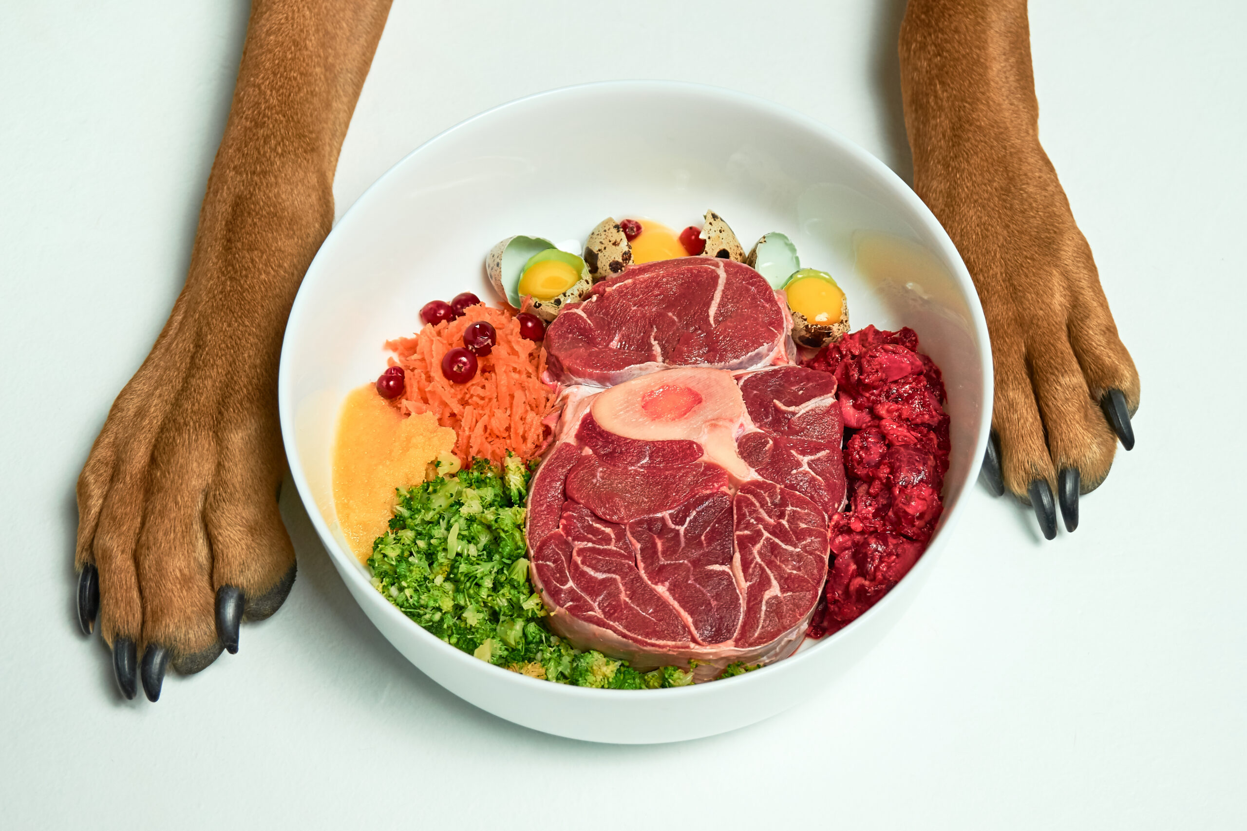 Natural,Raw,Organic,Dog,Food,In,Bowl,And,Dogs,Paws