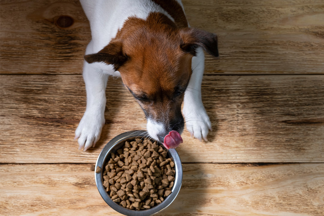 titimg-blog-proteina-hidrolisada