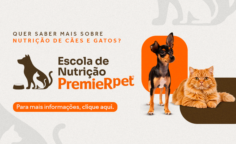 272.82 - BANNER PARCEIRO - 800x488px - V03 - 2025.07.14