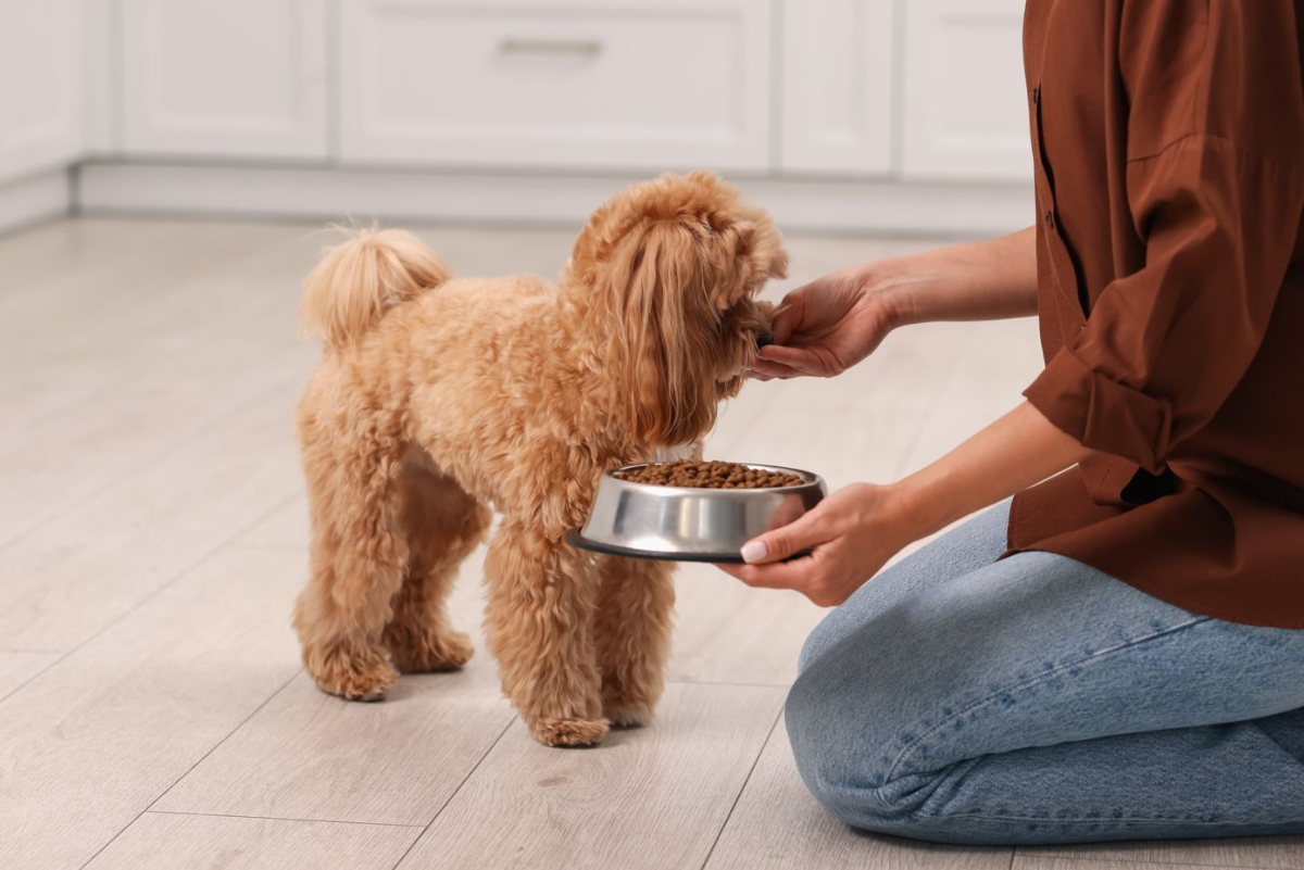 imagem_2025-12-09_143216222