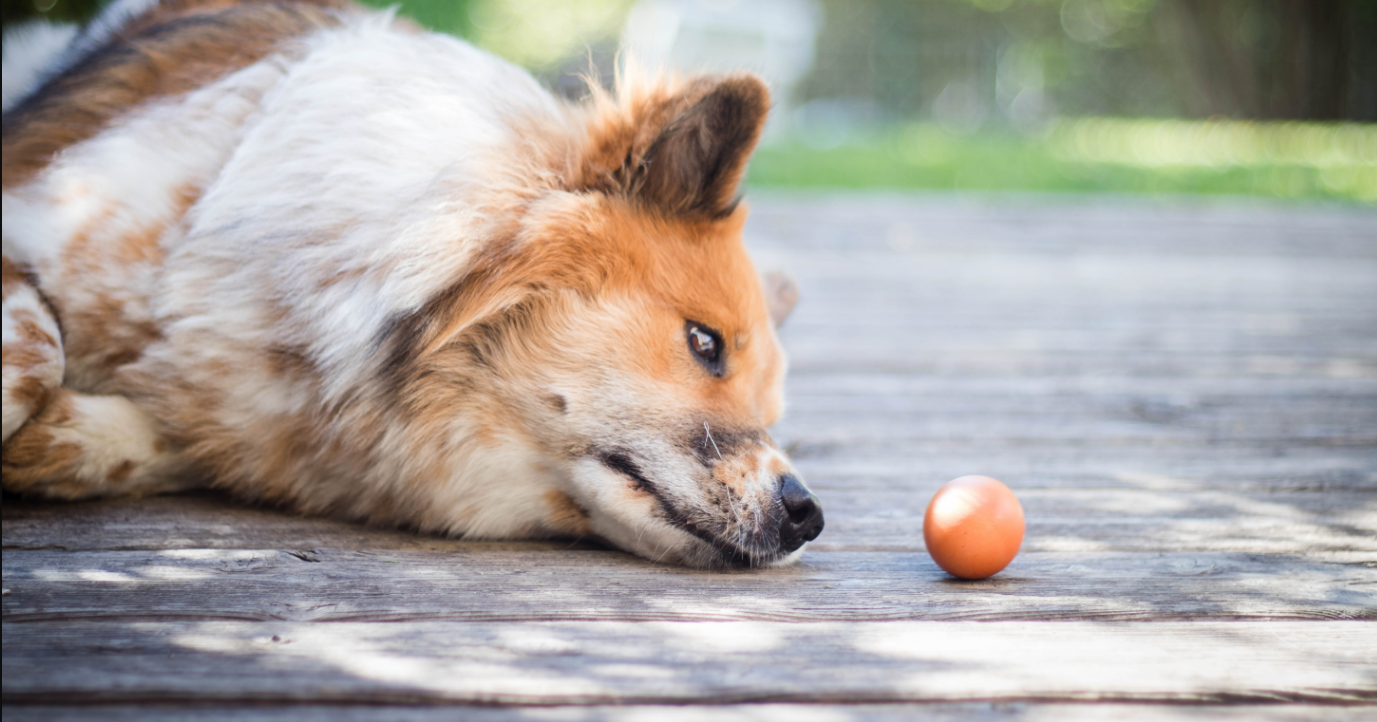 imagem_2025-12-09_145431915