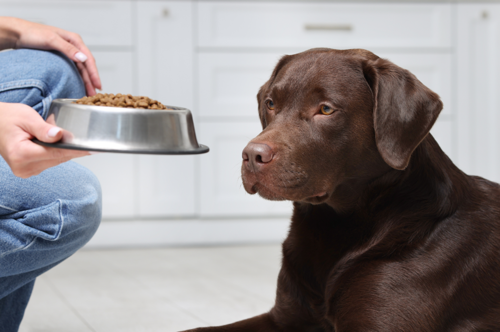 imagem_2025-12-09_151705465