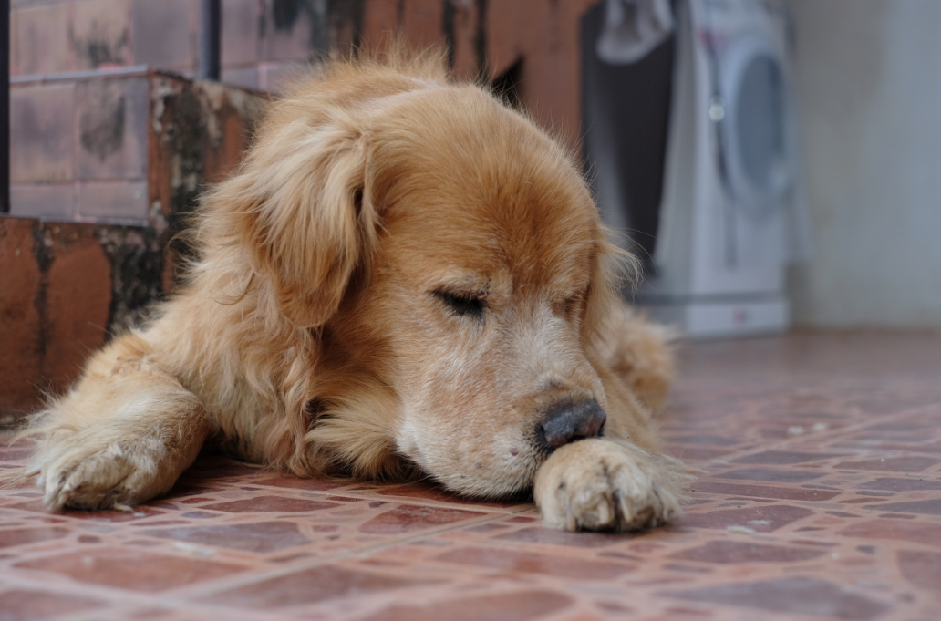 imagem_2025-12-09_153438663