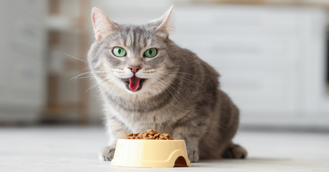 imagem_2025-12-09_154601546