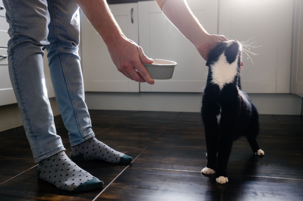 imagem_2026-01-06_112047012