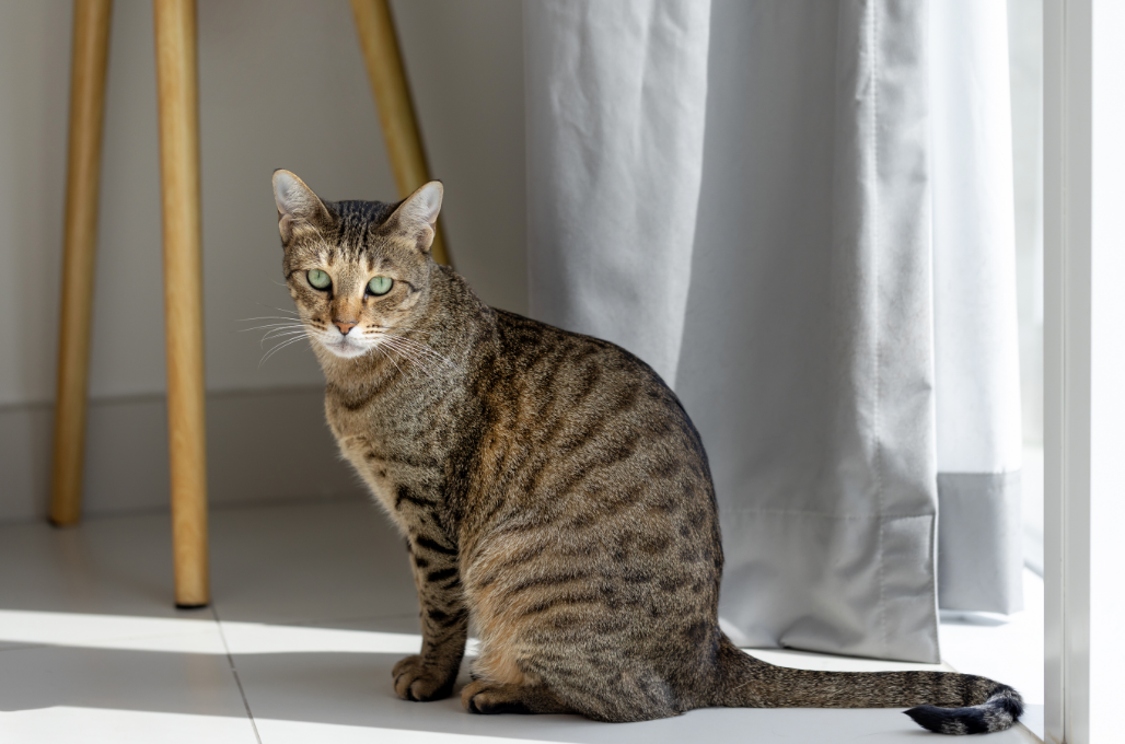 imagem_2026-01-28_140319004