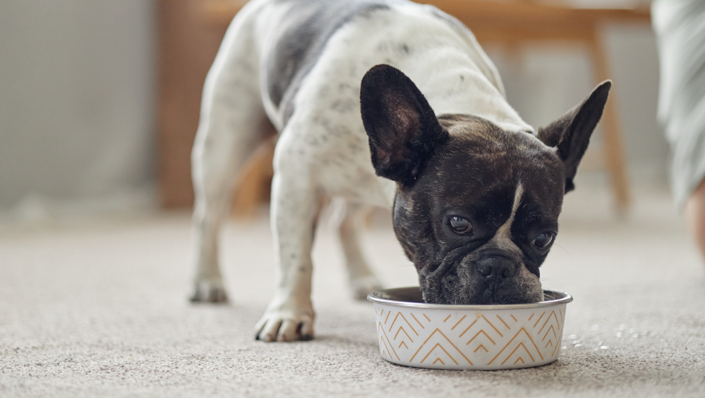 imagem_2026-02-13_131616565