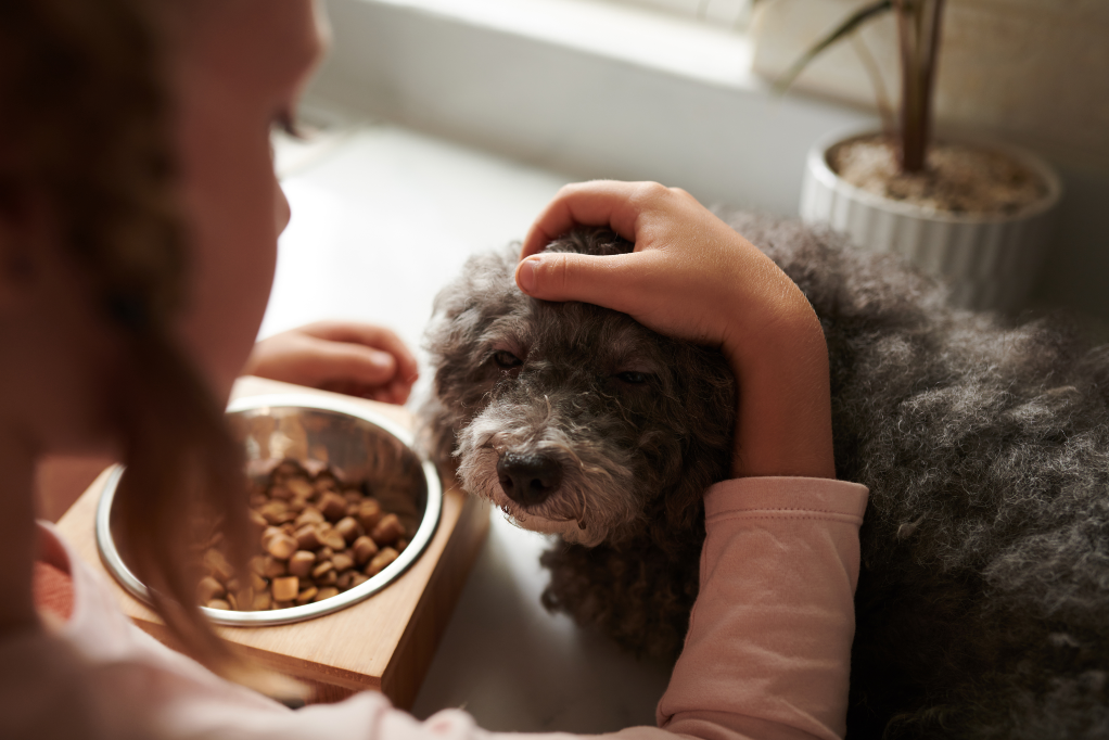 imagem_2026-04-16_152102456