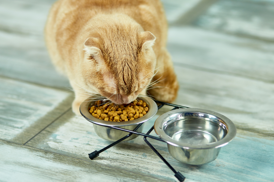 imagem_2026-04-24_163003342